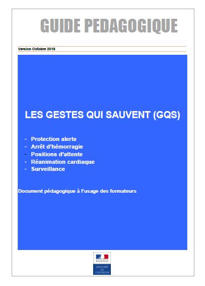 Gestes Qui Sauvent - GQS - Guide Pédagogique - Document Formateur ...